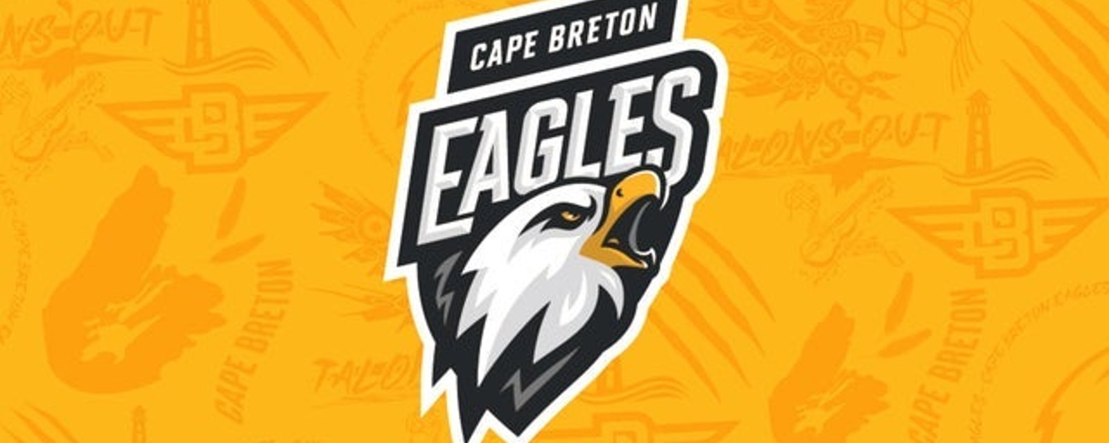 Trois joueurs des Eagles du Cap-Breton sont impliqués dans un accident de la route