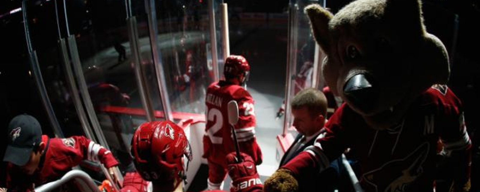 Les Coyotes sont rejetés dans leur ultime tentative de sauver la franchise