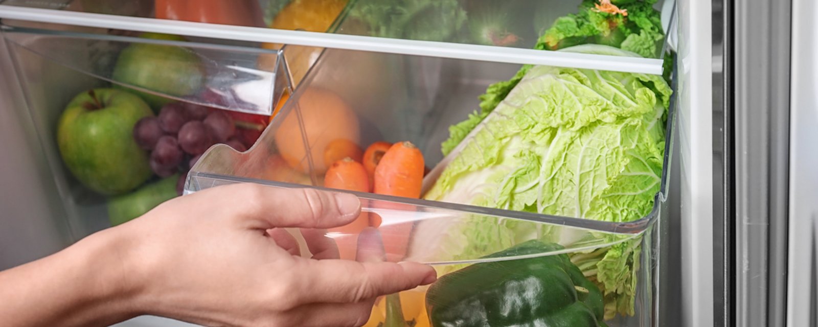 Panier pour Laver Les légumes | Passoire de Bol de Panier de vidange à