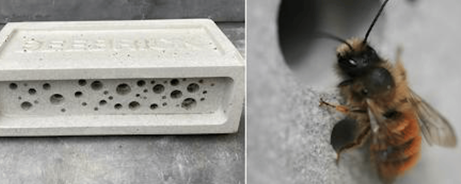 Des briques spéciales pour protéger les abeilles