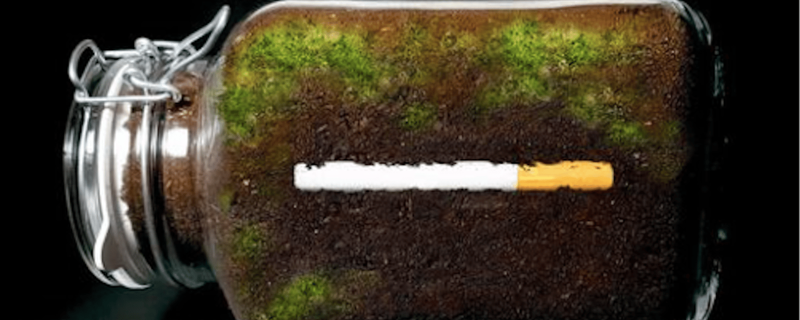 Une vidéo timelapse pour voir l'impact d'un mégot de cigarette jeté par terre