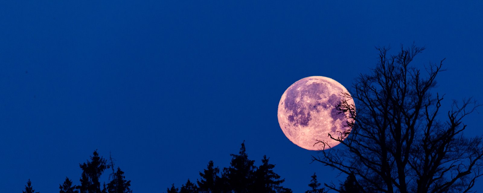 Dans la nuit du 16 avril, on aura droit à une Pleine Lune Rose