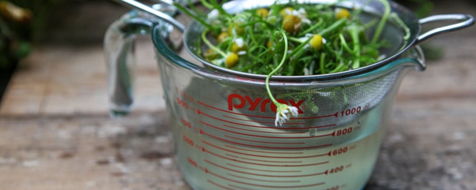 Comment préparer facilement un fongicide pour vos plantes