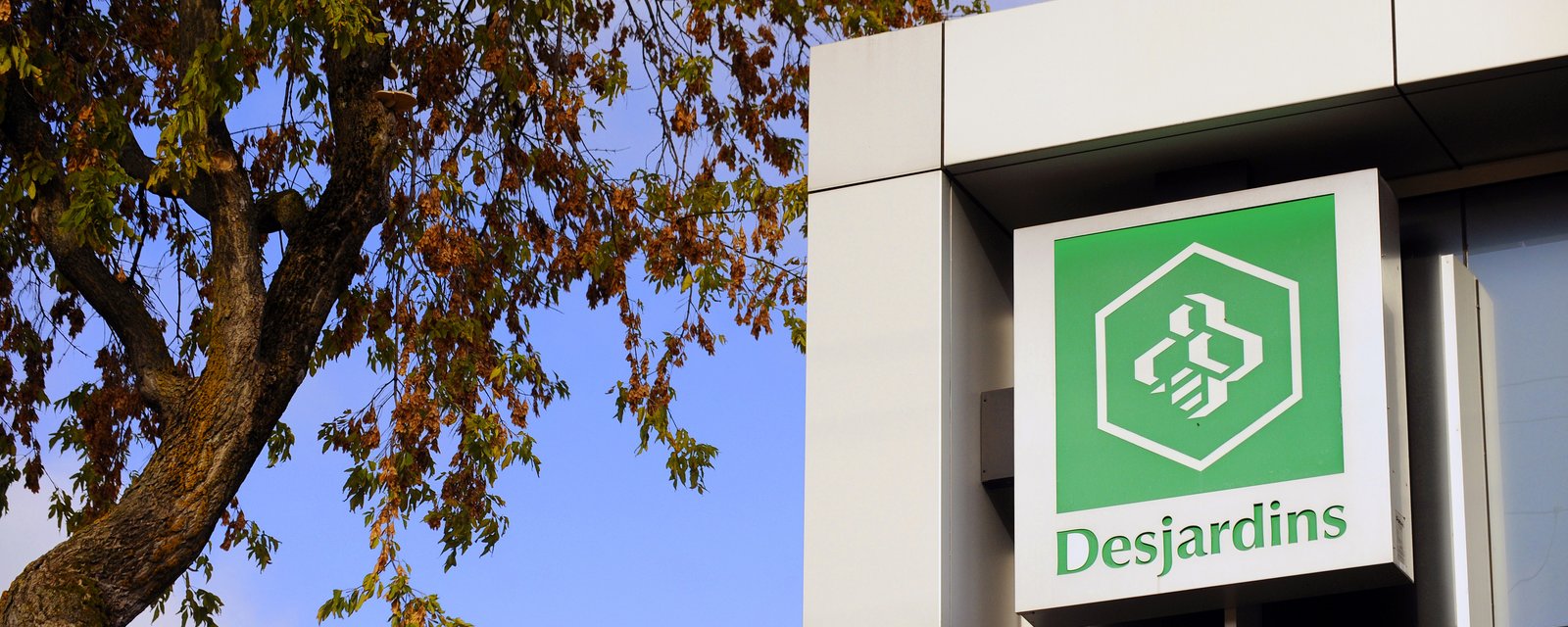 Le paiement par versement arrive enfin chez Desjardins