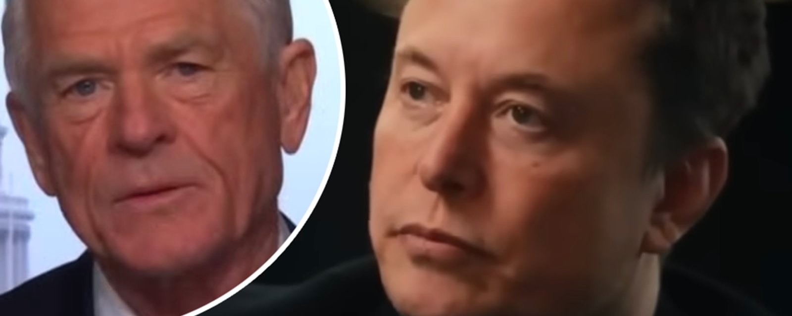 Elon Musk insulte Peter Navarro en raison de ses propos sur Tesla