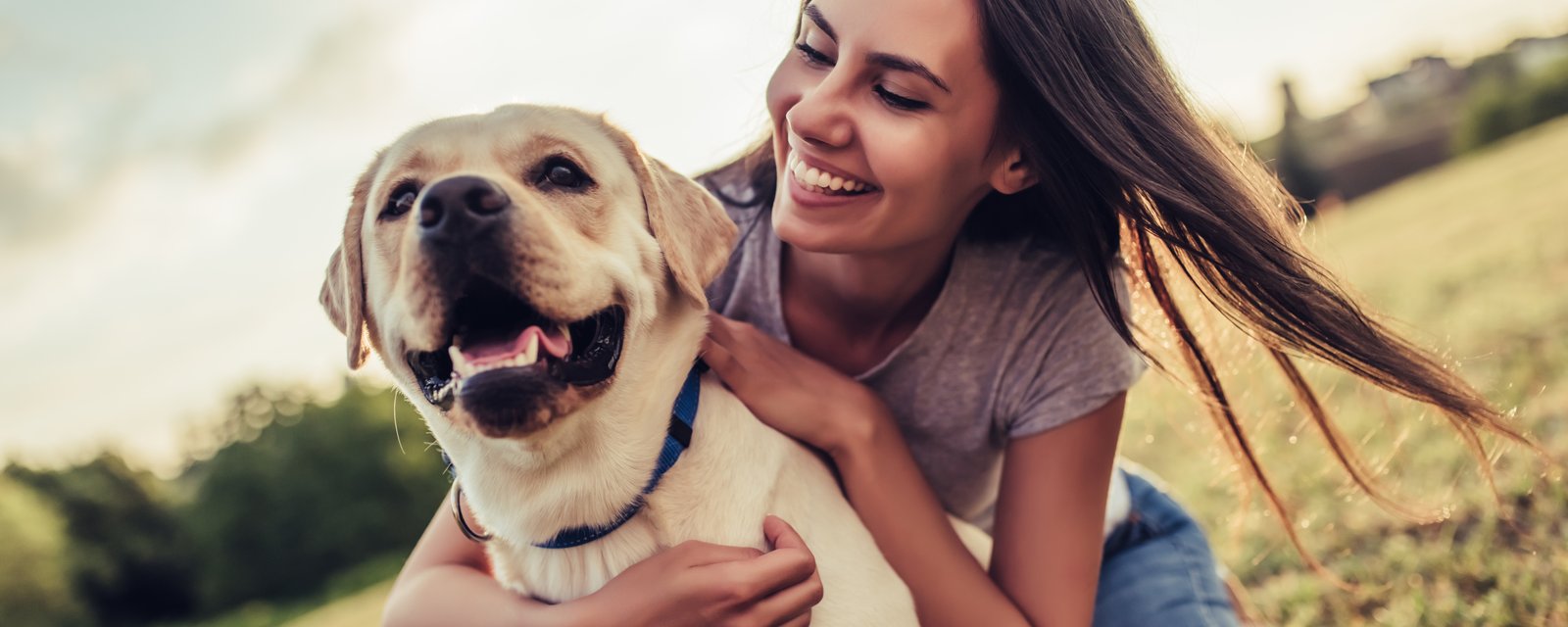 Une nouvelle étude démontre combien d'argent par année dépensent les propriétaires de chiens