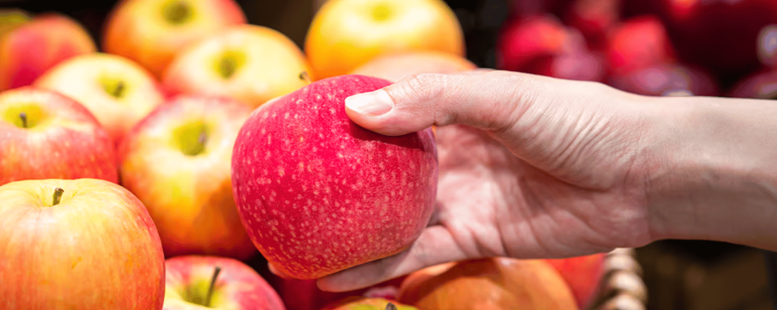 Les pommes vont coûter moins cher cette saison dans les épiceries du Québec