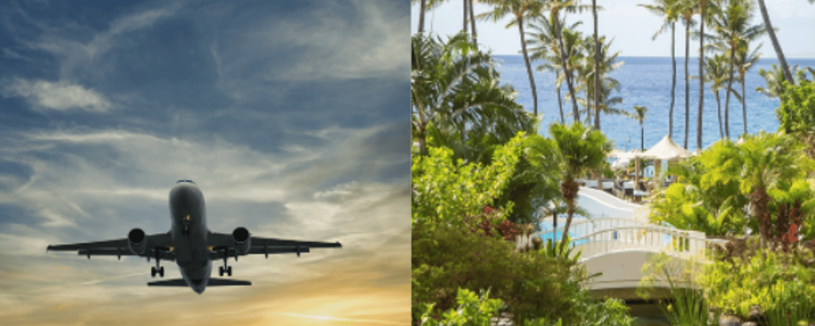 Des billets d'avion aller-retour pour Hawaï sont disponibles à moins de 500 $ et ça risque de s'envoler rapidement