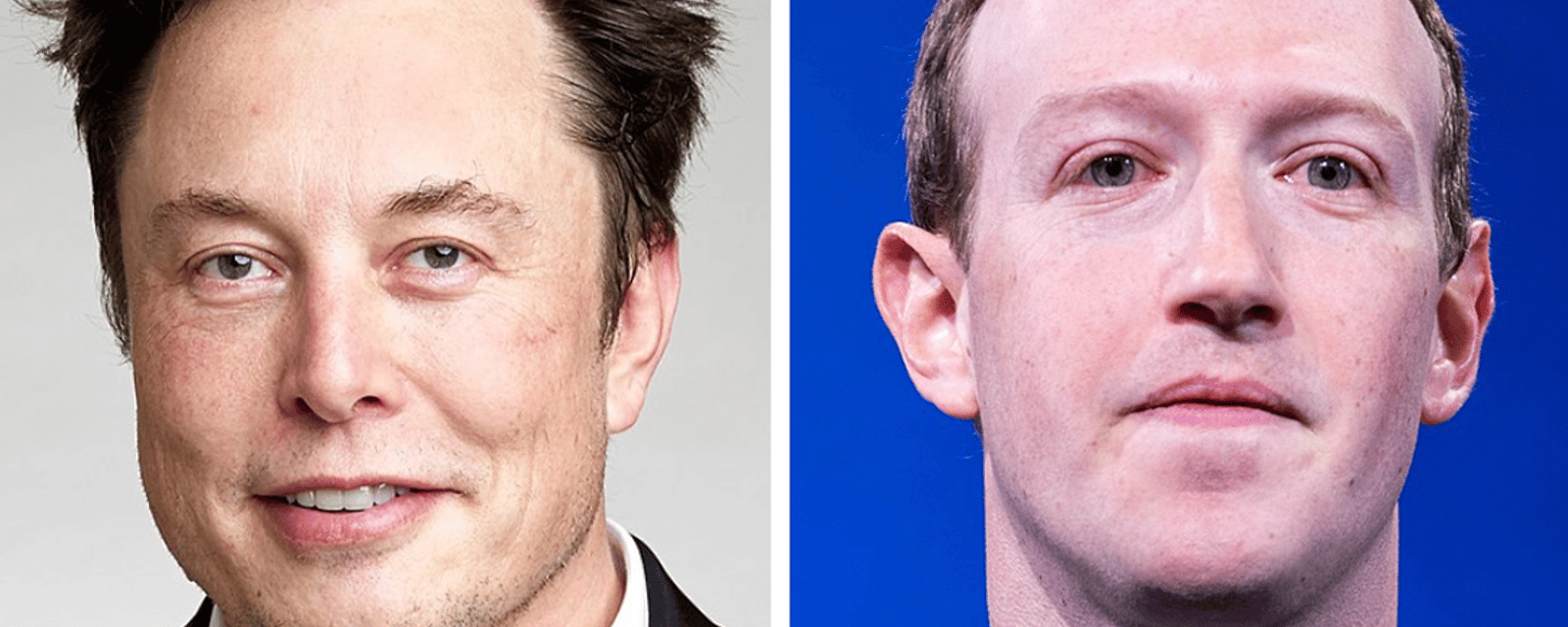 Des propos d'Elon Musk risquent de ne pas plaire à Mark Zuckerberg