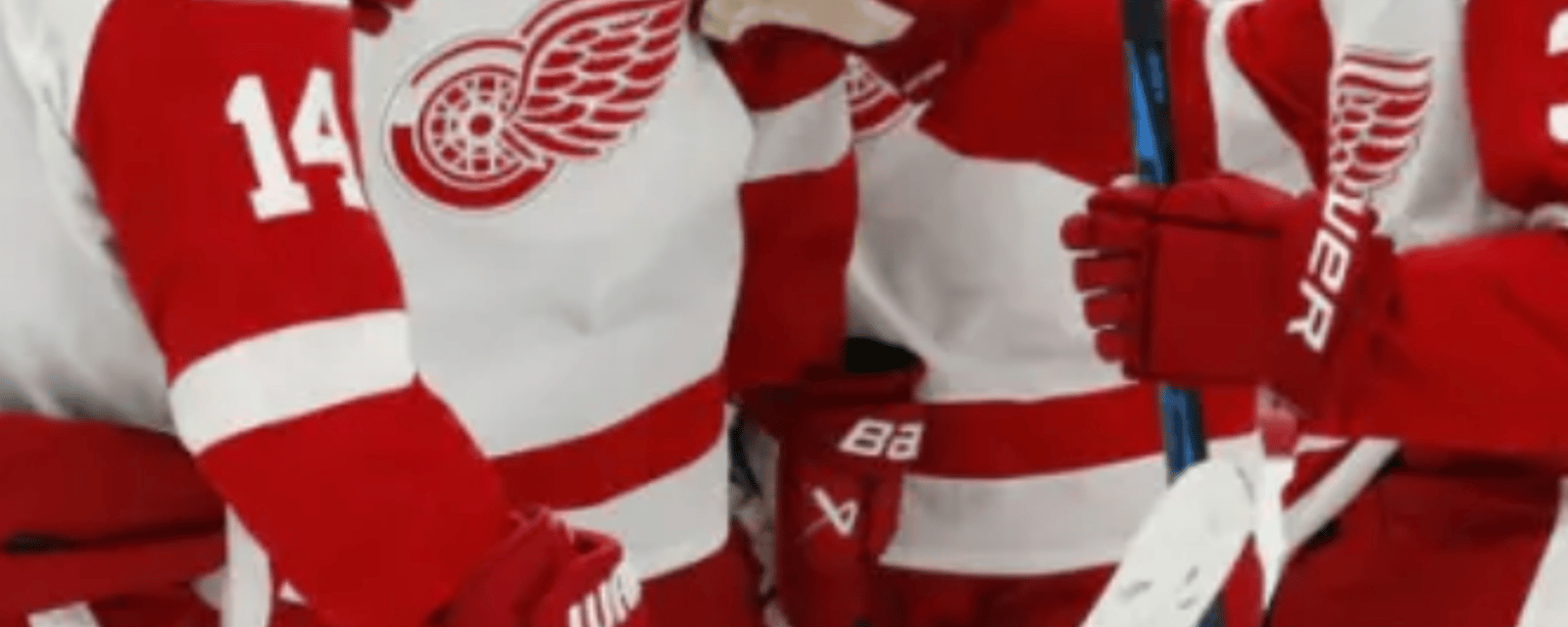 Red Wings mutually part ways with minor-league forward 