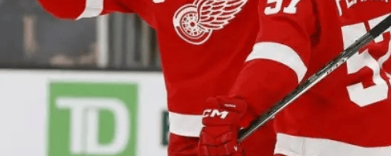 Roster move in Detroit gives Red Wings' fans hope