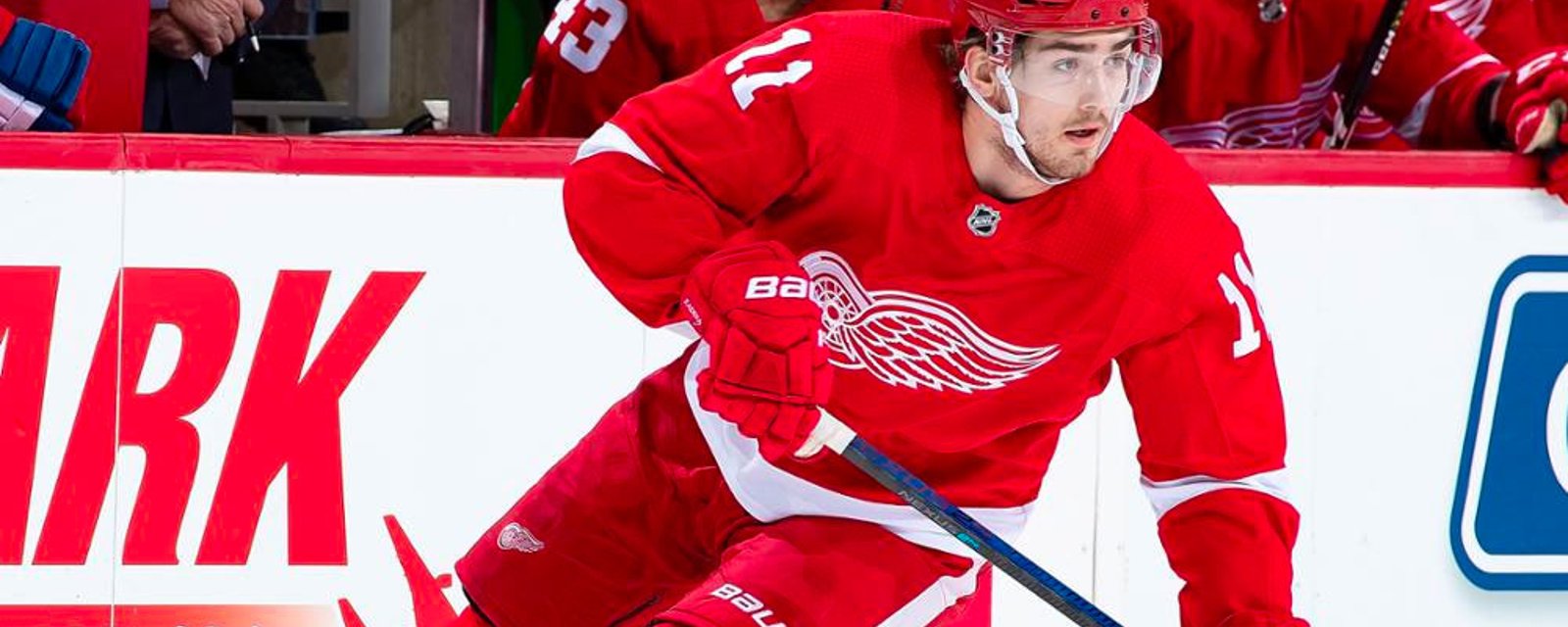 Report: Zadina gave up on the Red Wings before Yzerman dumped him on waivers