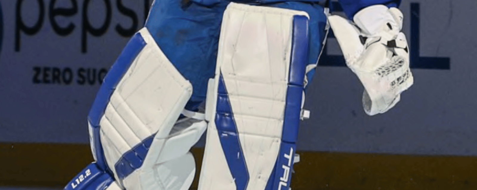 Report: Maple Leafs in running for former All-Star goaltender 