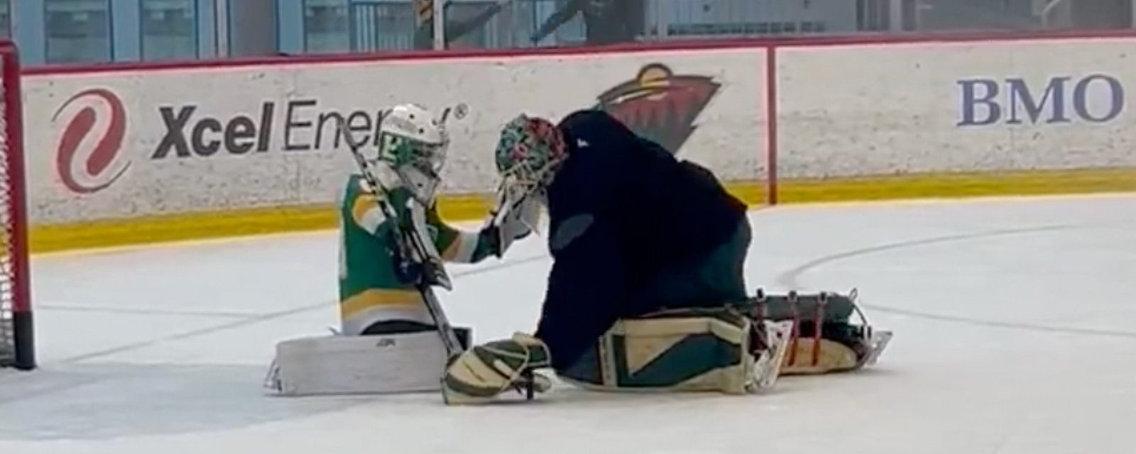 Viral video shows why Marc-Andre Fleury is the most beloved NHLer around!