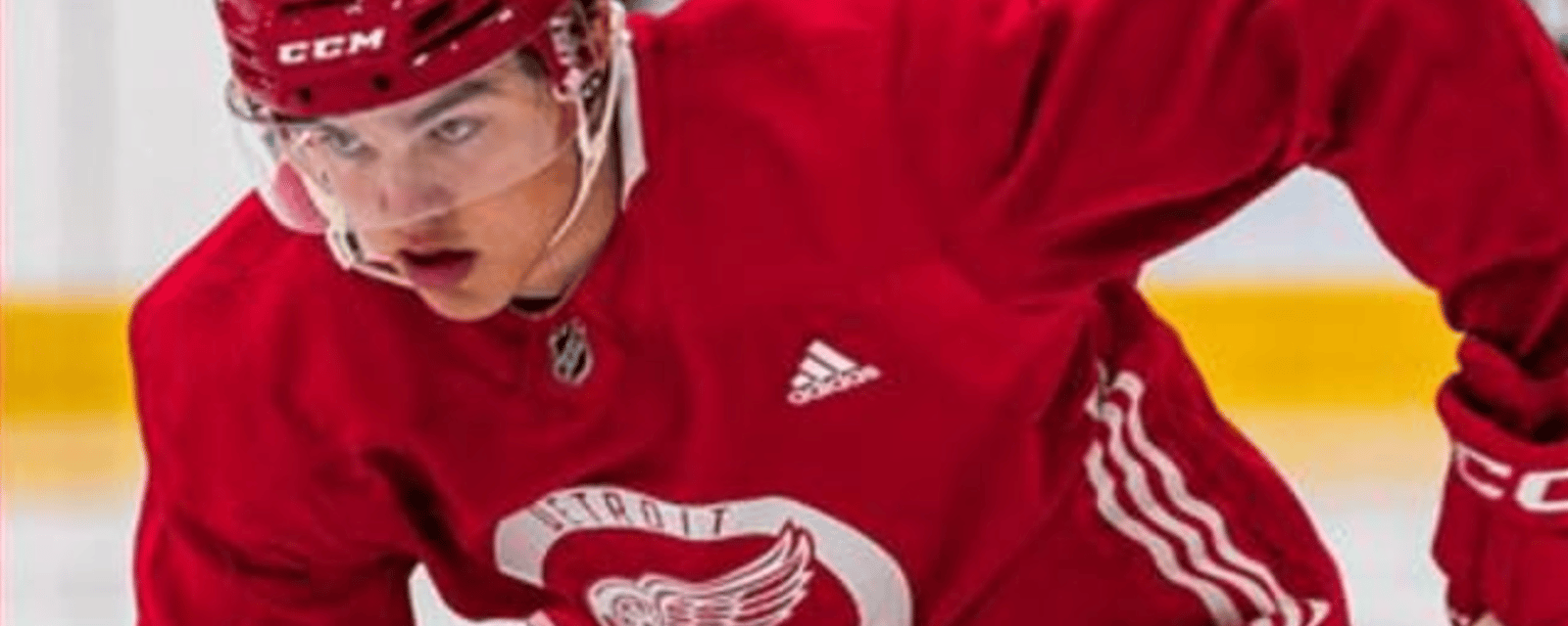 Red Wings deal top prospect in major trade proposal 
