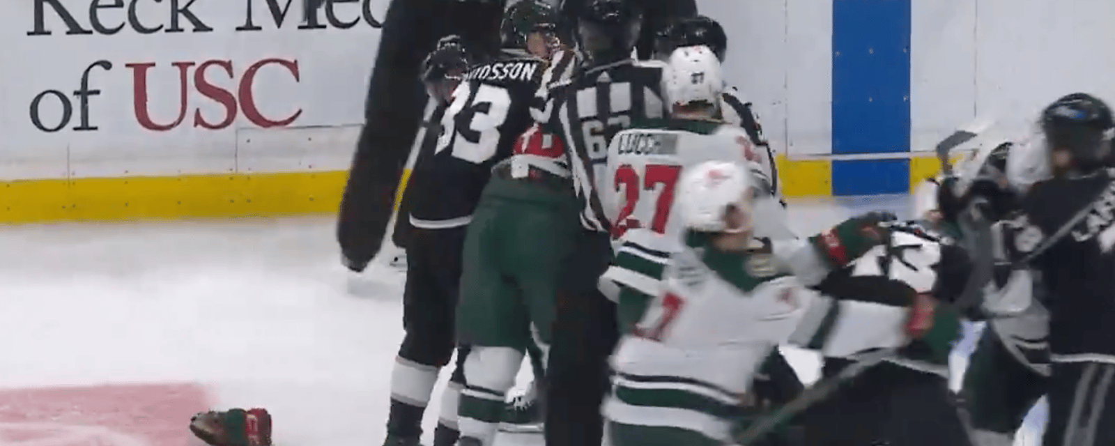 Crazy brawl between Kings and Wild results in multiple ejections 