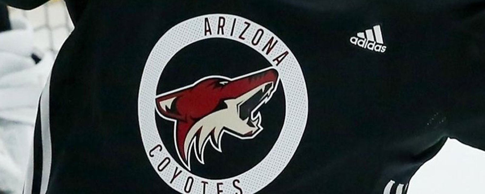 Coyotes' owner is now desperately seeking buyers