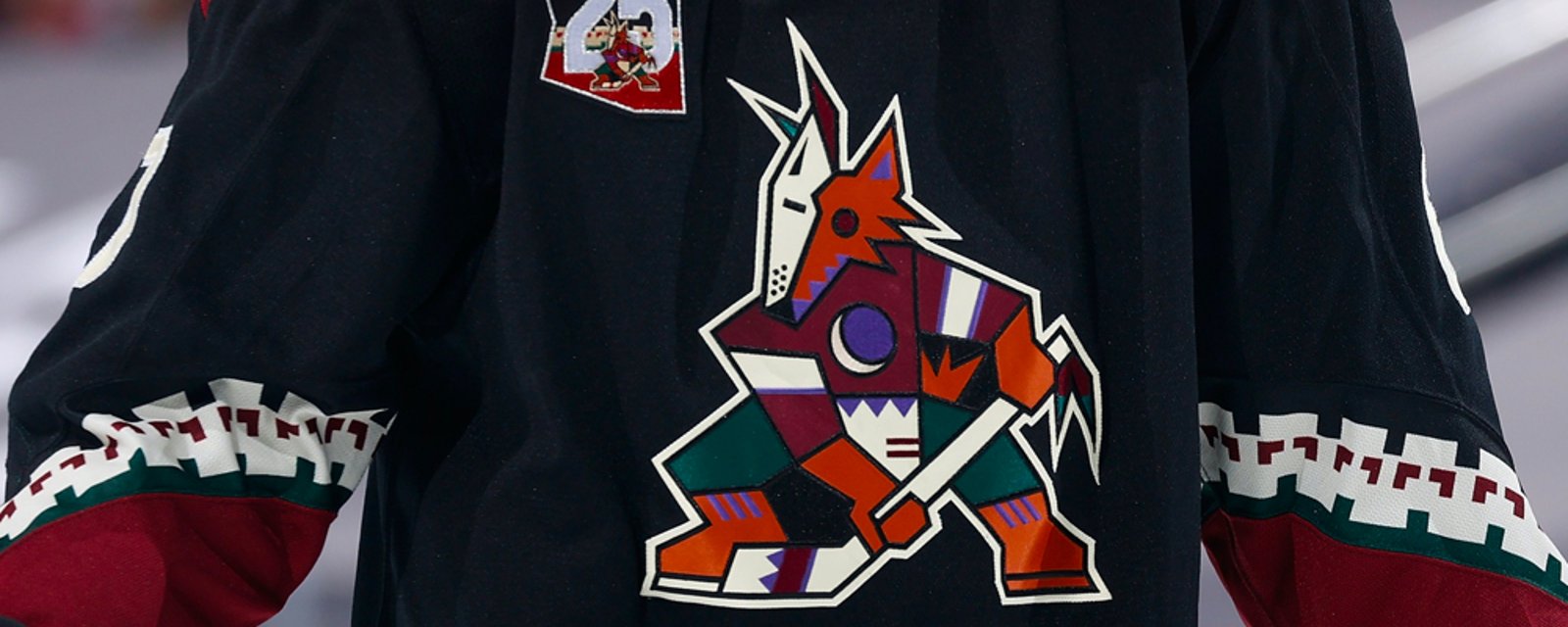 Coyotes forced to sign a “good behavior” clause in agreement with ASU