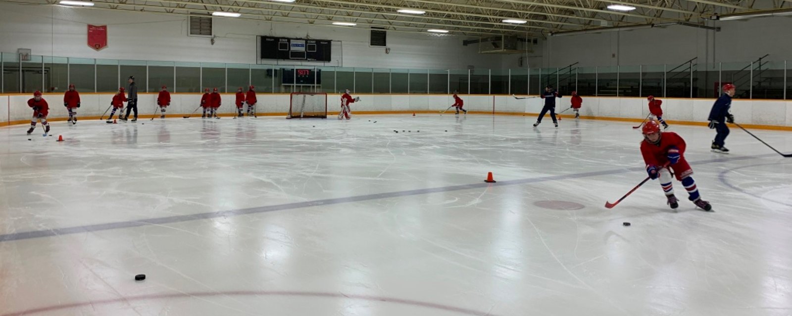 Minor hockey coach sued for threatening and “physically battering” child during a practice