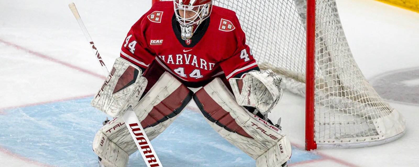 NCAA star Mitchell Gibson leaves college early, signs an NHL deal