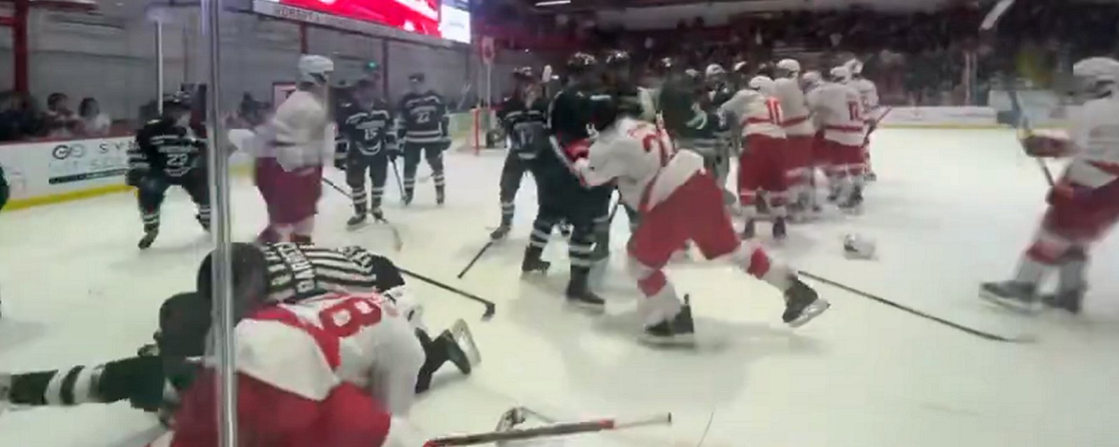 All hell breaks loose during college hockey brawl.