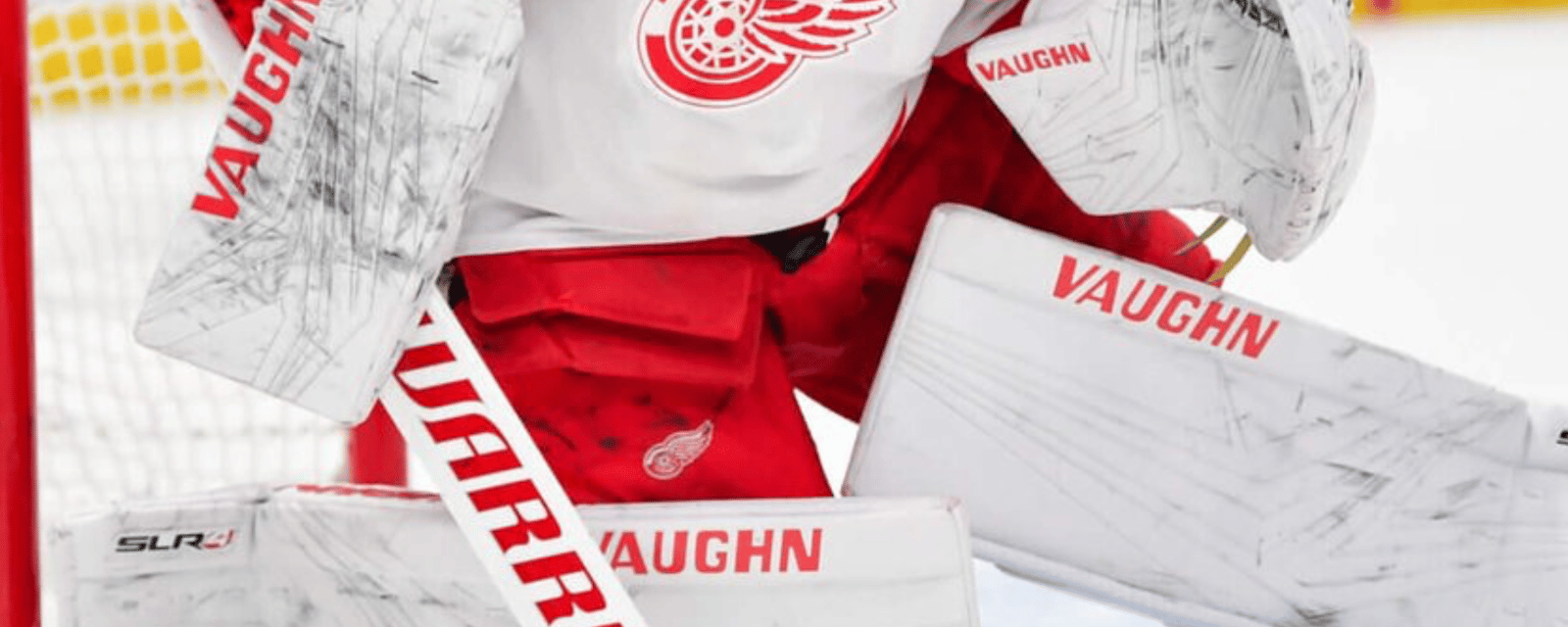 Red Wings announce signing of new goaltender