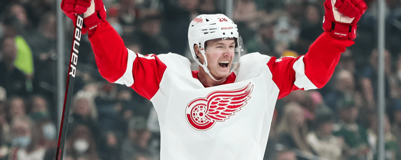 Red Wings decline qualifying offers to several players 