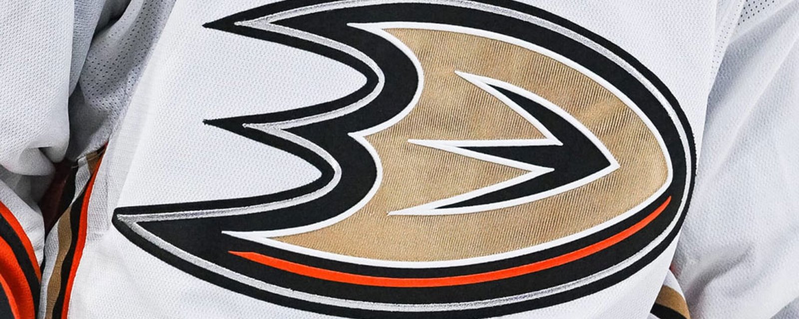 Ducks' new jerseys leaked online and fans are not happy