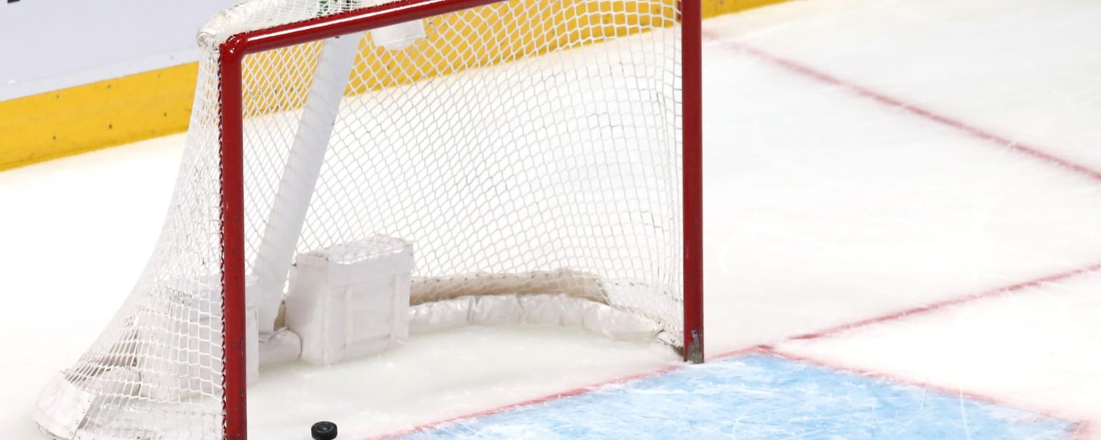 Maple Leafs circle back to previous option in net!