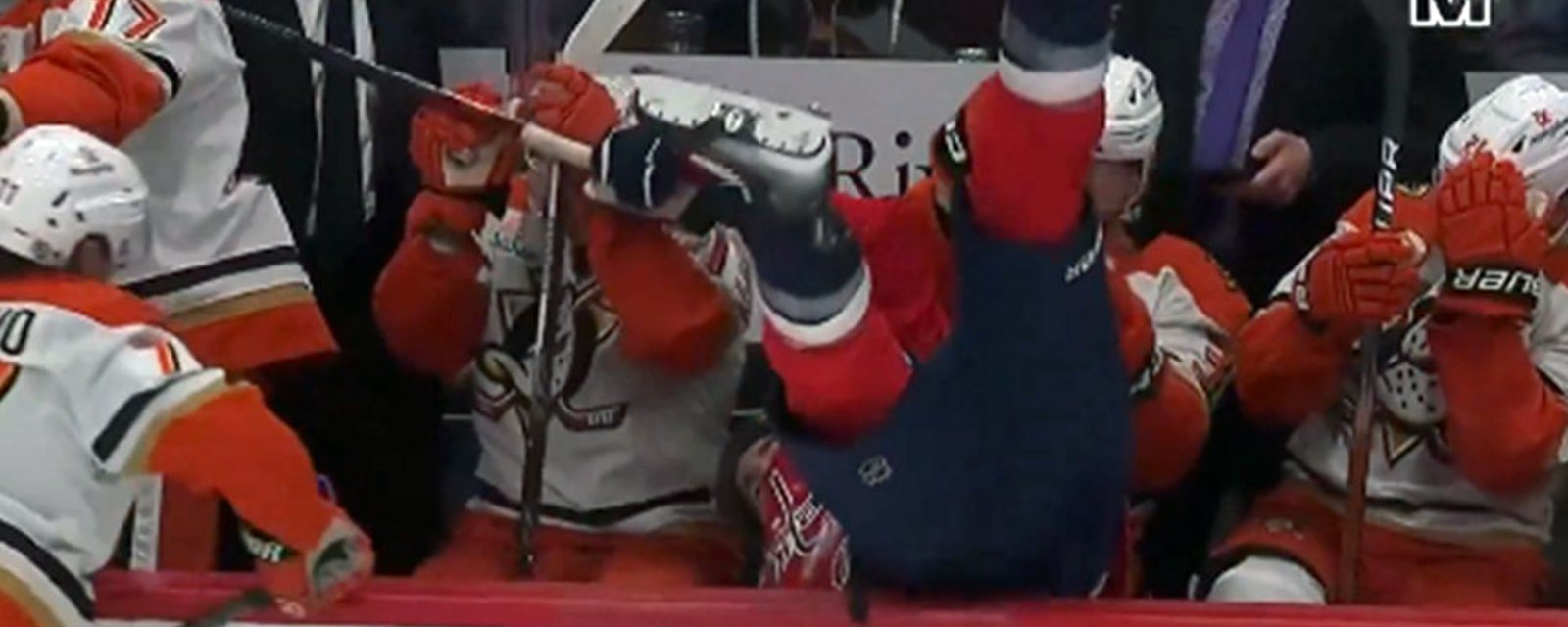 Tom Wilson gets absolutely leveled, goes upside down into the Ducks' bench