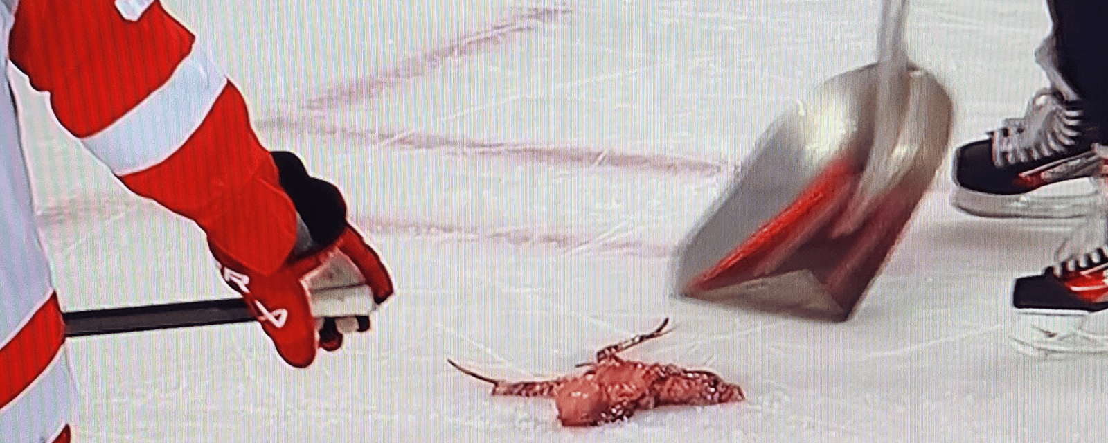 Flames' MacKenzie Weegar complains about octopus thrown on ice 