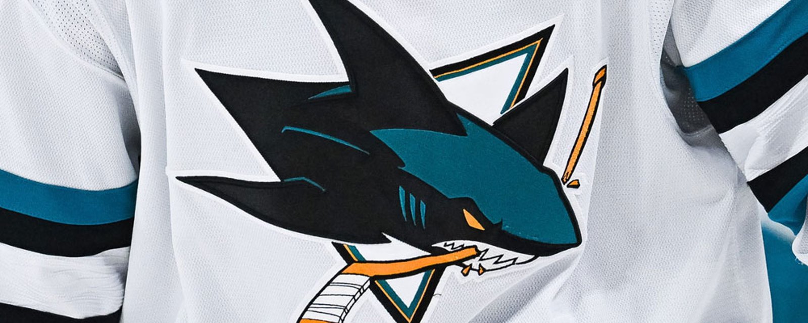 San Jose Sharks hire their next head coach