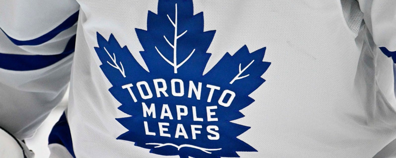 Maple Leafs' farm team officially folds
