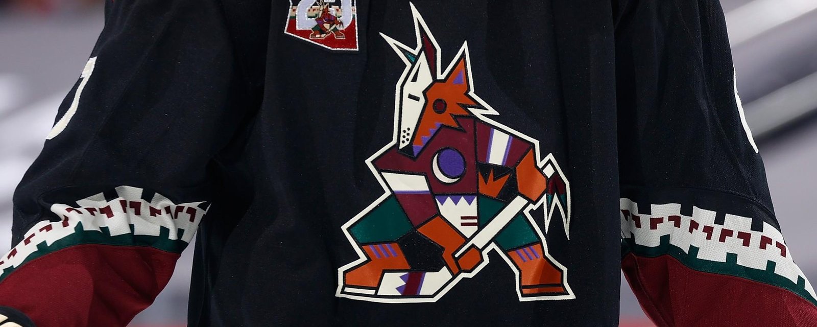 Coyotes are destroyed and exposed by NHLPA!