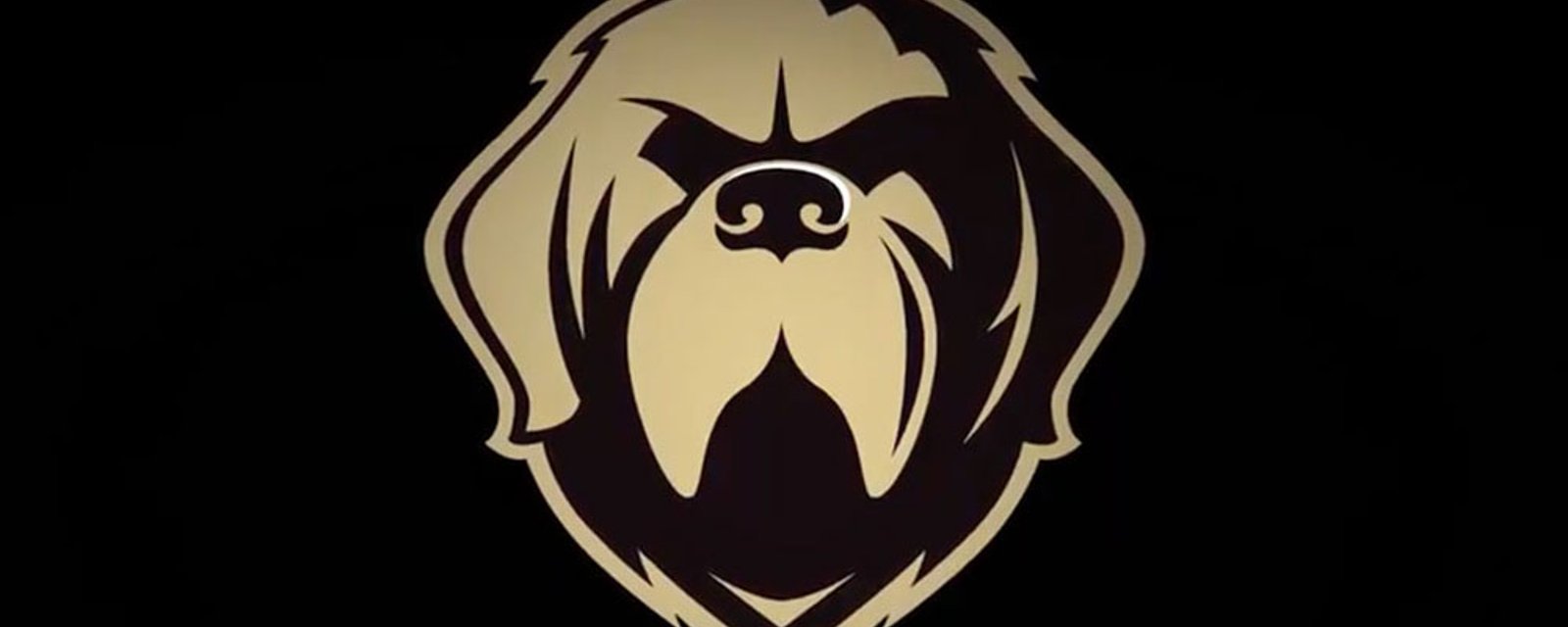 Newfoundland Growlers abruptly thrown out of the ECHL