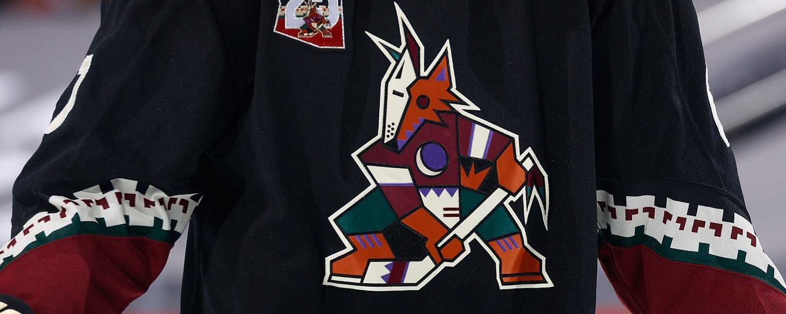 Coyotes co-owner arrested on strangulation charge and suspended indefinitely!
