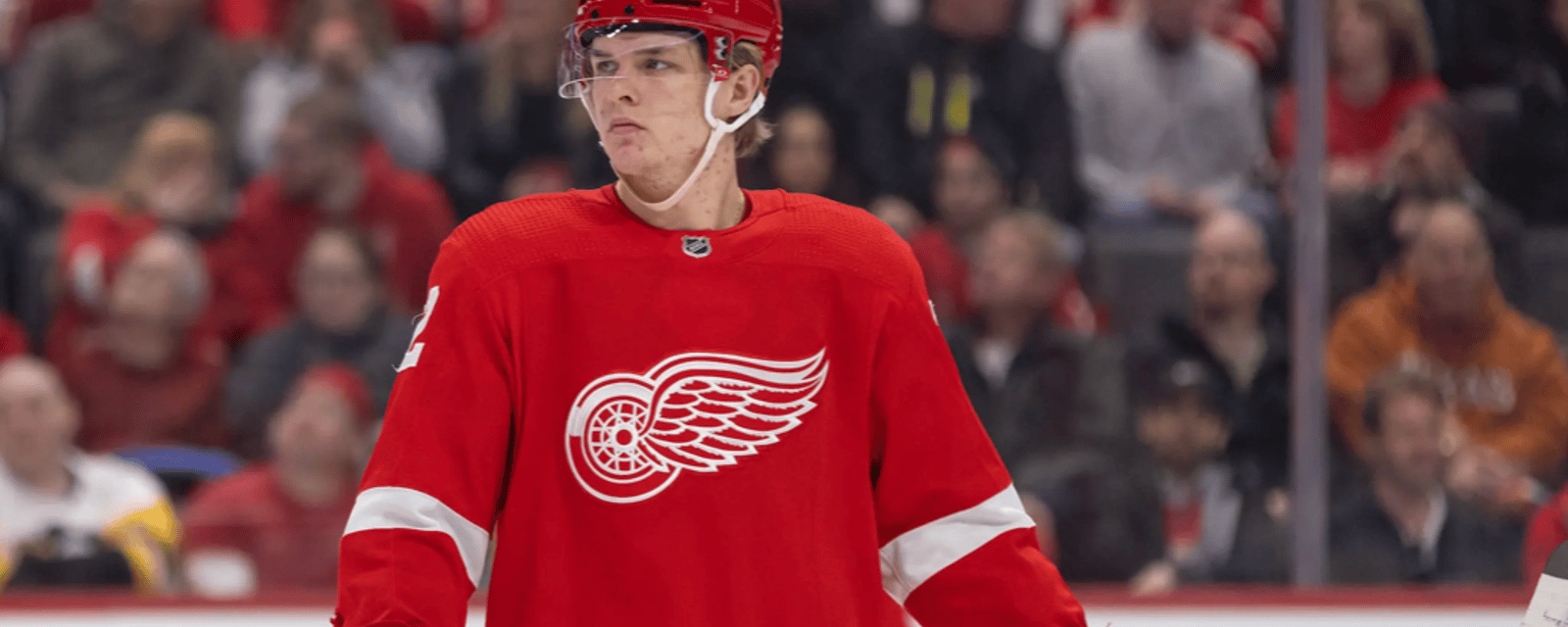 Red Wings announce “emergency” roster move 