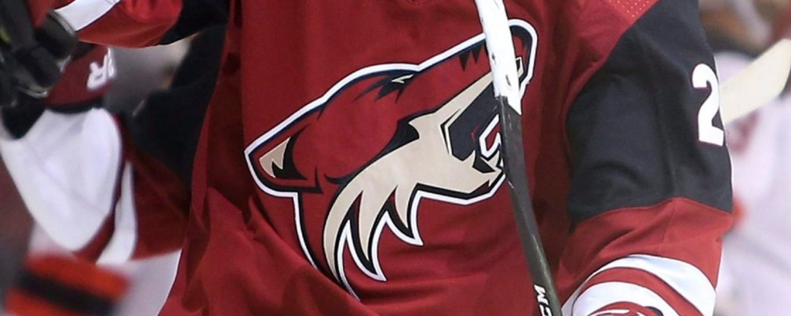 Ultimate blow to the Coyotes!