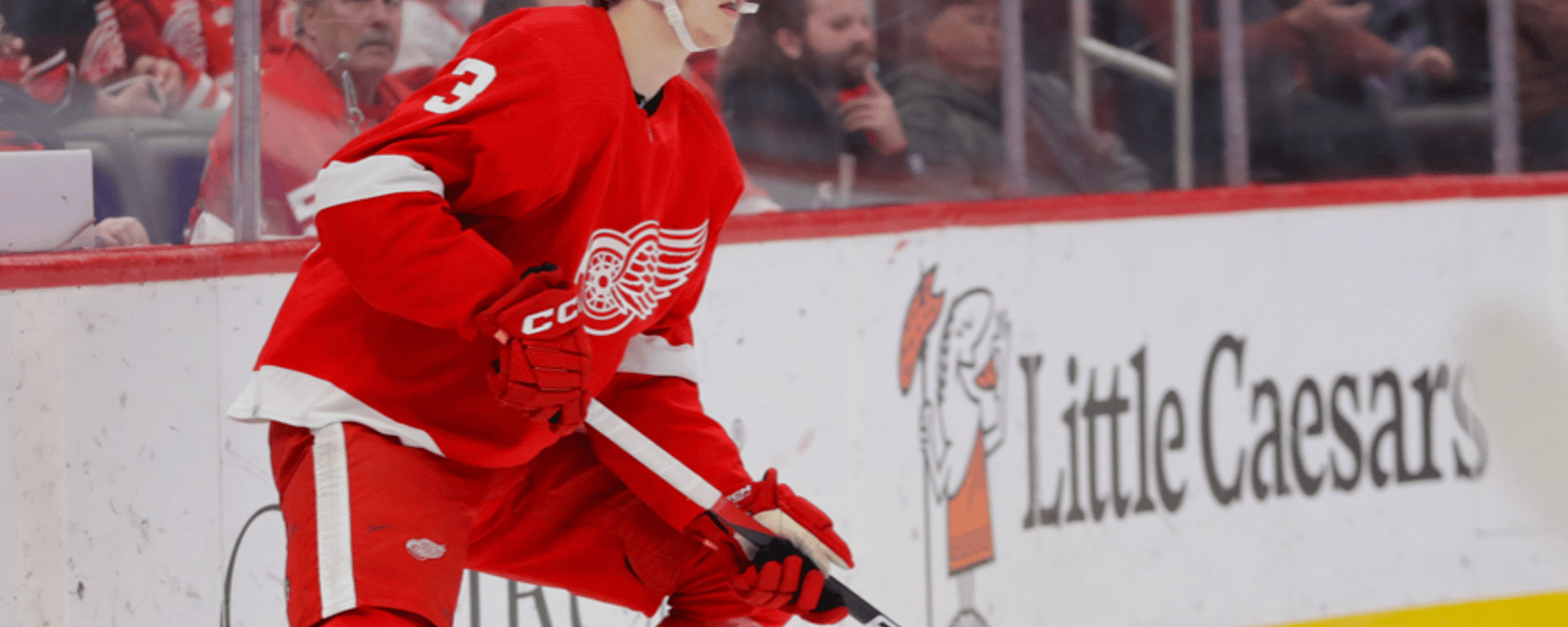 Red Wings fans left bewildered after latest roster move