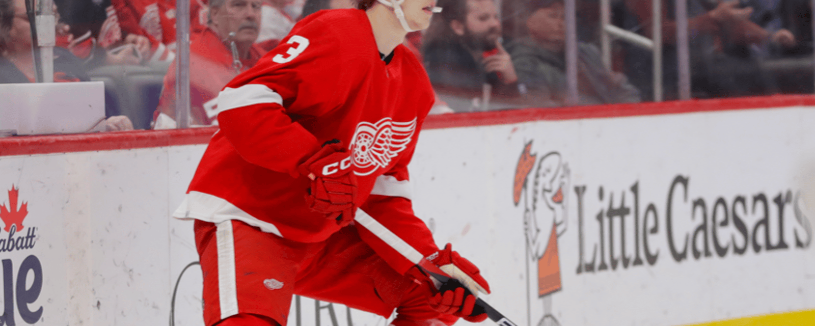 Red Wings D Simon Edvinsson to miss 4-6 months 