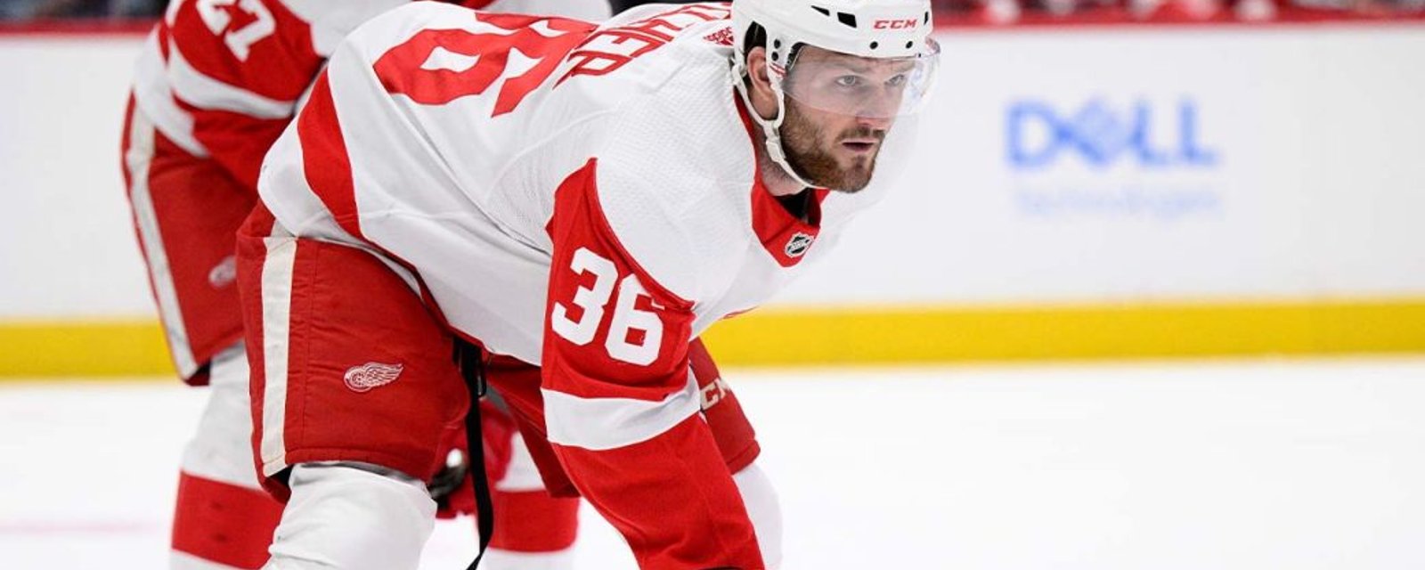 Christian Fischer: My heart was set on Red Wings return 