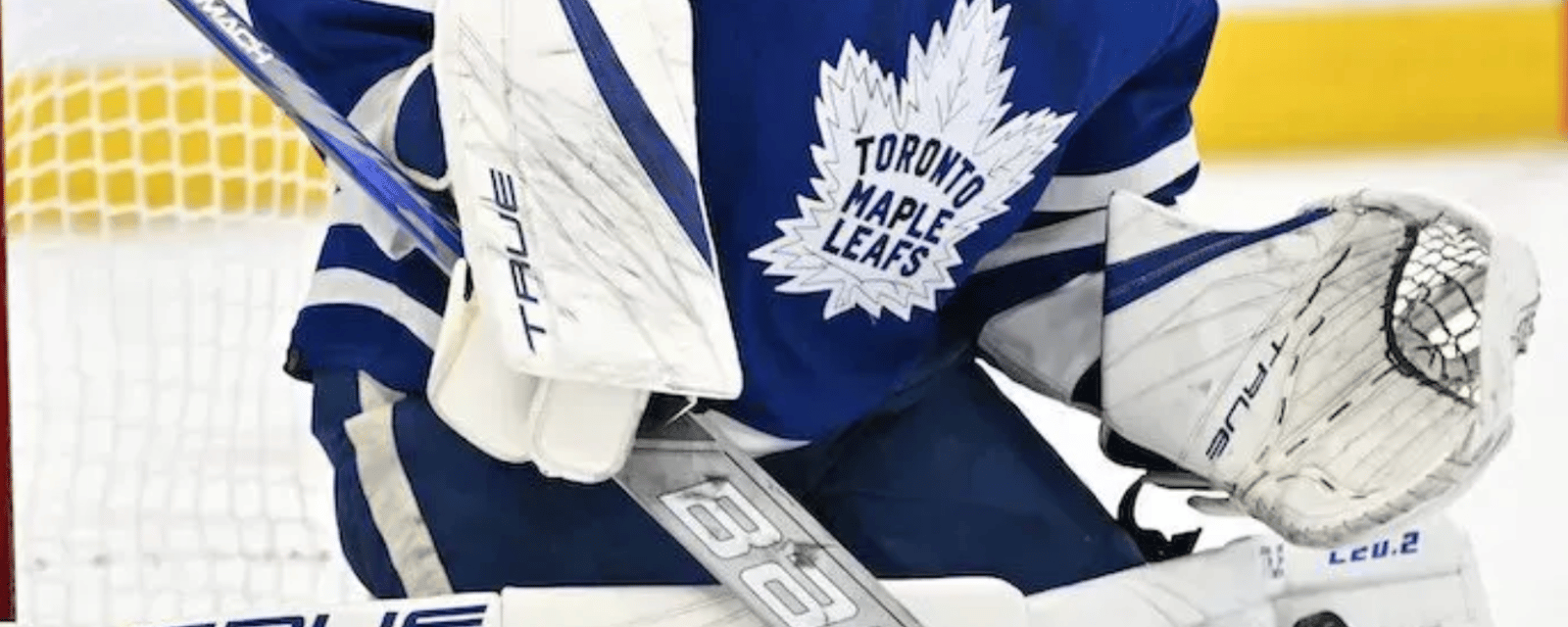 Ex-Leaf warns Toronto against signing Stanley Cup-winning goalie 