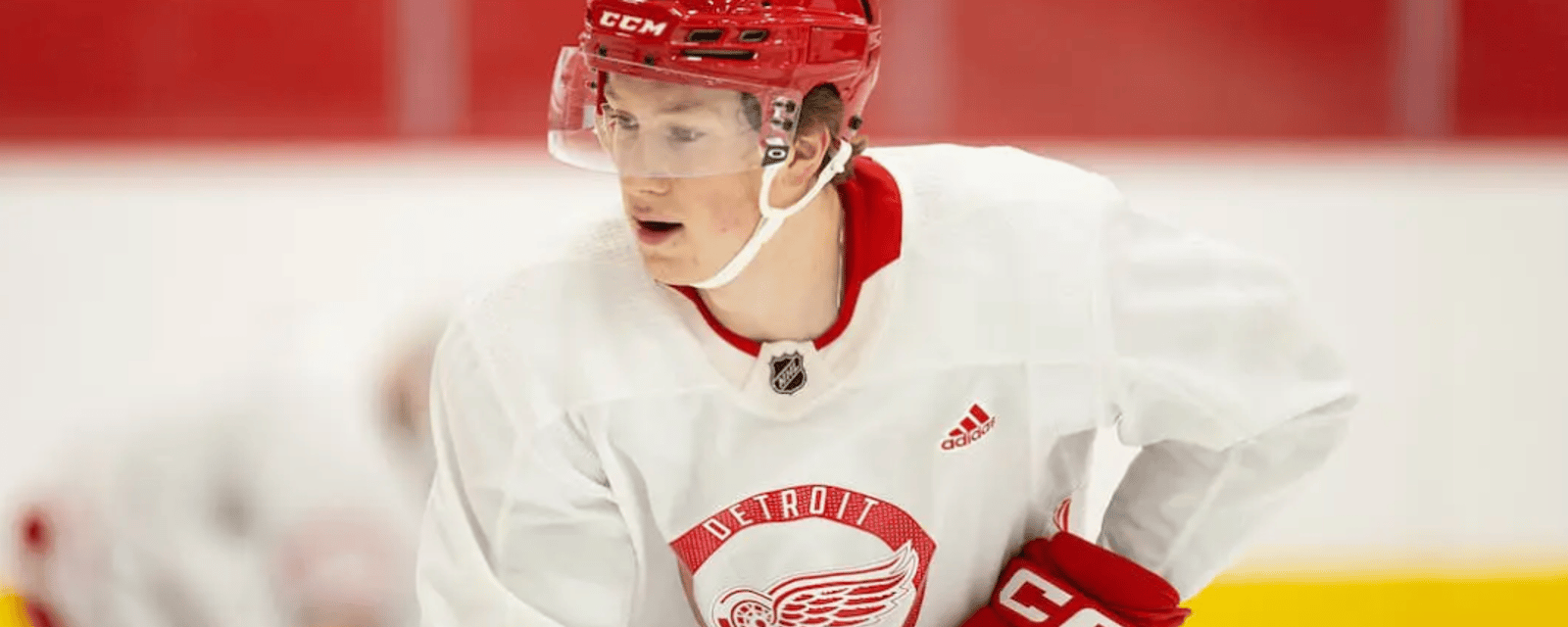Red Wings prospect Nate Danielson earns major promotion 