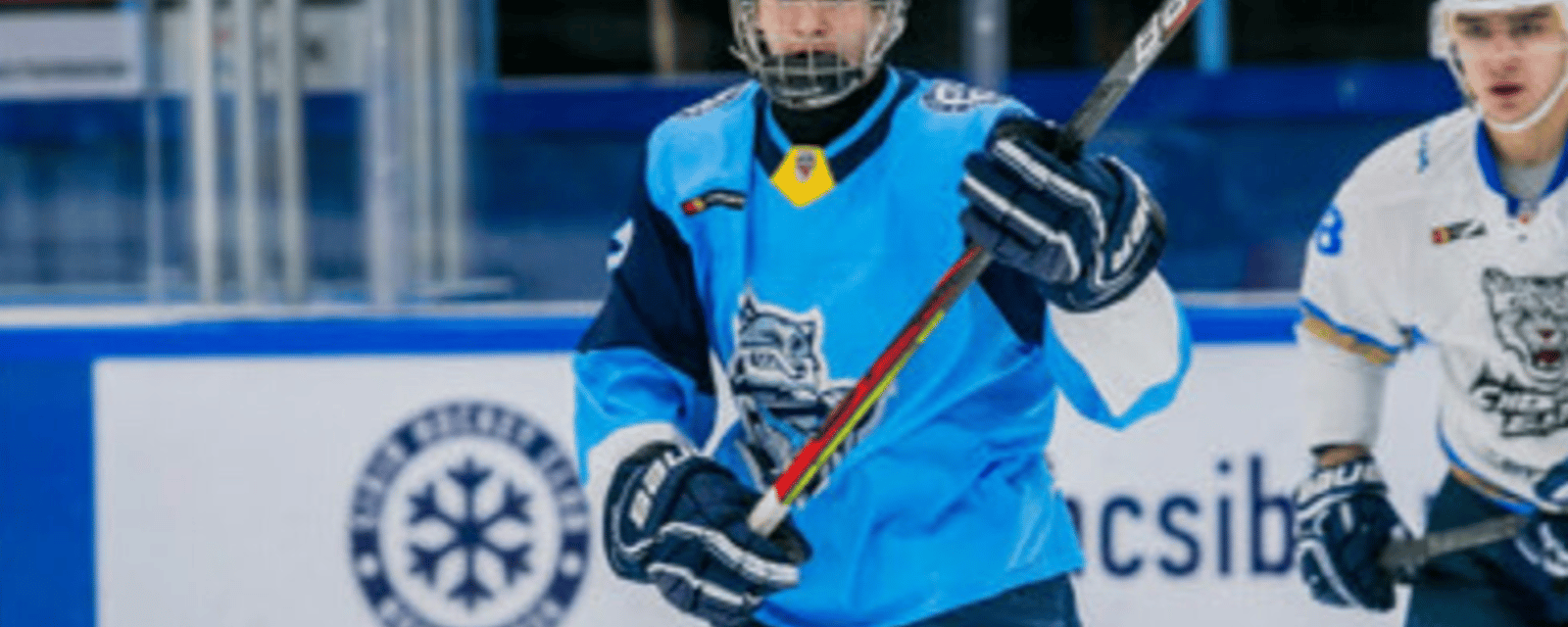 Top Maple Leafs prospect terminates his contract 
