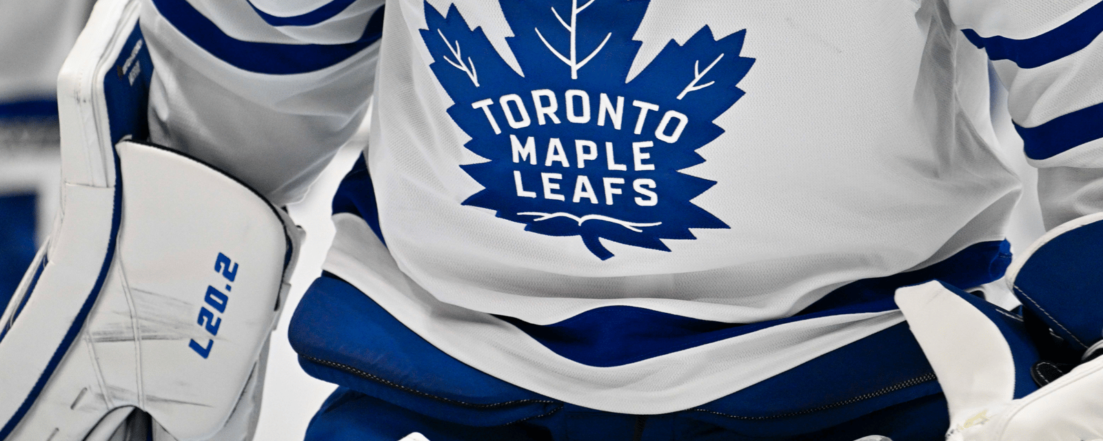 Leafs goalie impresses with eye-popping gear design 