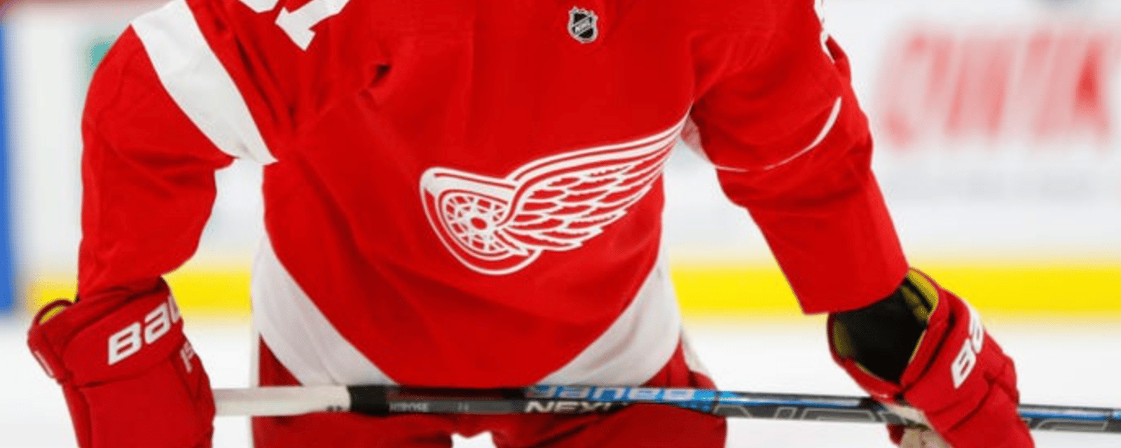 Red Wings prospect slapped with multi-game suspension 