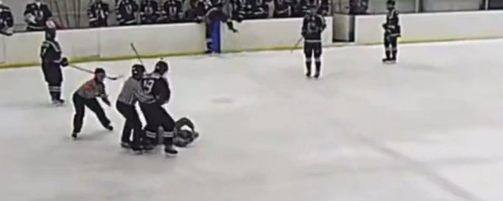 Hockey player receives lifetime ban after sucker punching referee, on video.