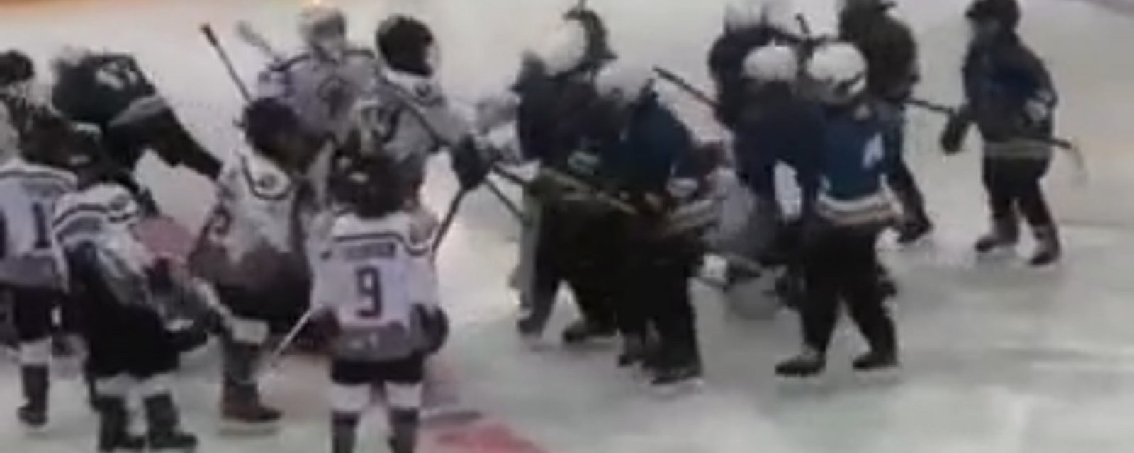Brawl between 8 year old hockey players sends 2 to the emergency room.