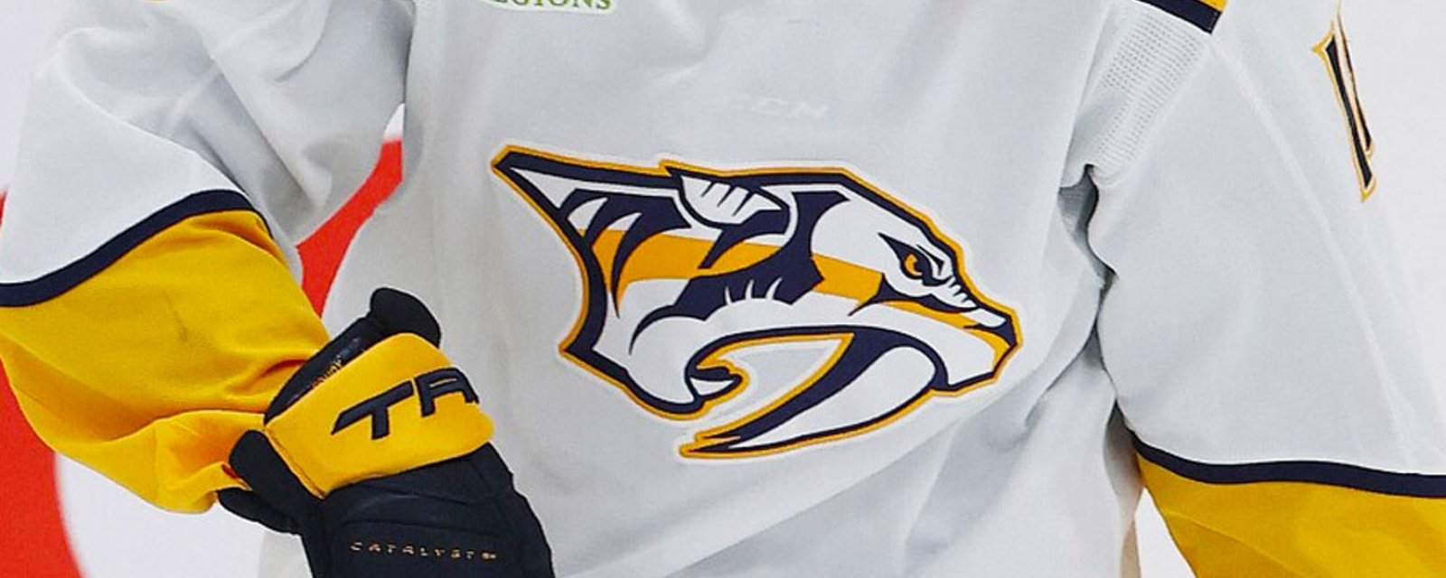 Predators officially give up on former 1st rounder