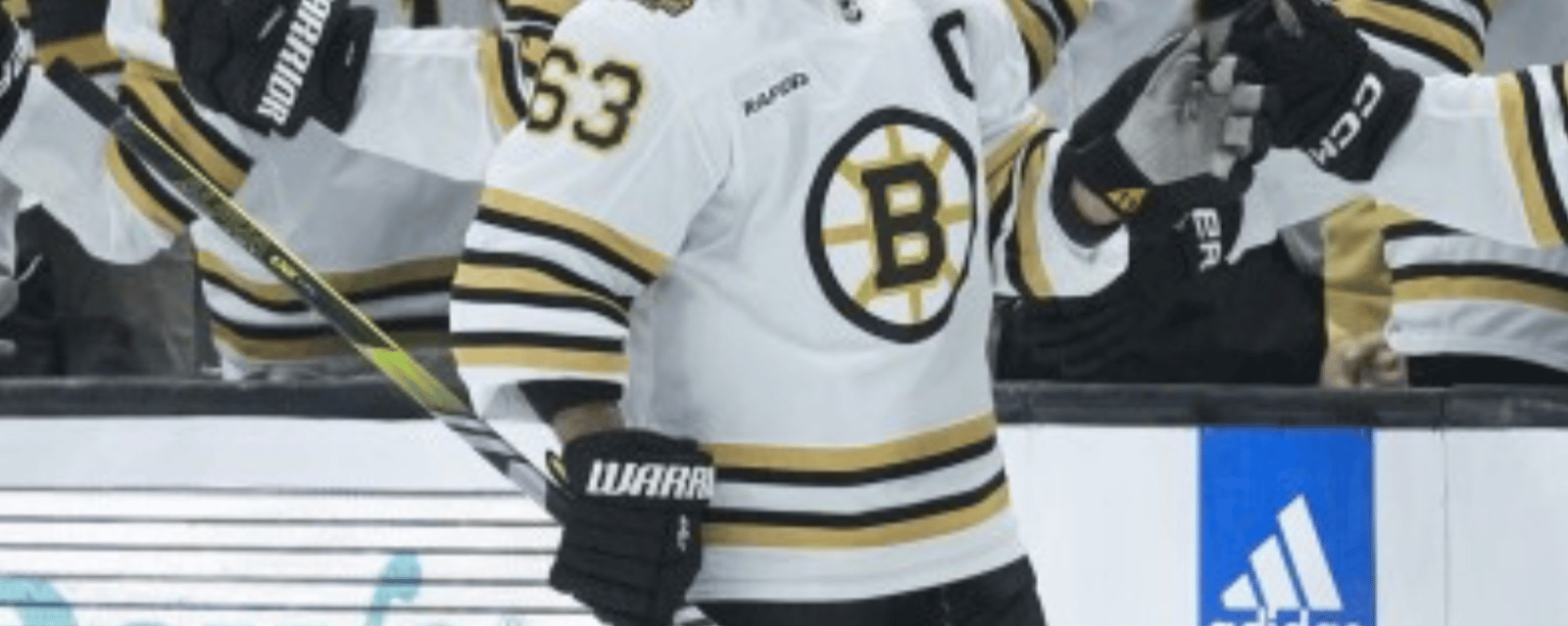 Bruins place recently acquired defenseman on waivers 